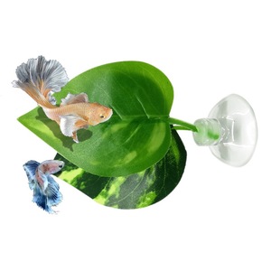 Plaque de feuilles pour poissons <span class=keywords><strong>Betta</strong></span>, écologique, en plastique vert, décorations pour <span class=keywords><strong>aquarium</strong></span>, améliore la santé, habitat naturel - Product Image 4