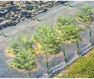 Serre tunnel de jardin mini avec cadre métallique et filet anti-insectes, écologique, pour plantes de jardin - Product Image 5
