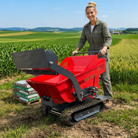 Dumper sur chenilles robuste F500 de 500 kg avec benne basculante hydraulique et moteur Loncin pour usage forestier et agricole