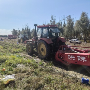 حصادة بطاطس وثوم صغيرة جديدة من هونغتشو مصنوعة في شاندونغ مع مجرفة وناقل، إنتاجية عالية للاستخدام الزراعي - Product Image 5
