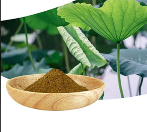 Lotus Leaf <b>Extract</b> High Purity Lotus Leaf Alkaloid Food & Health Product Raw Material - Product Image 2