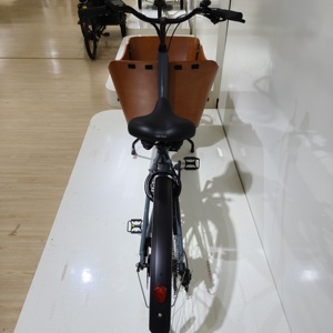 <span class=keywords><strong>Bici</strong></span> da carico elettrica per adulti fornita in Europa: 7 marce, motore mozzo posteriore, batteria al litio 36V, telaio in acciaio, economico - Product Image 5