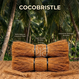 Cocobristle ofrece cepillos ecológicos y duraderos hechos de fibra natural de coco. - Product Image 3