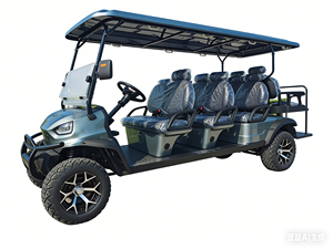 Carrito de Golf Eléctrico con Certificación CE, 6 Asientos (4+2), Alimentado por Batería - Product Image 2