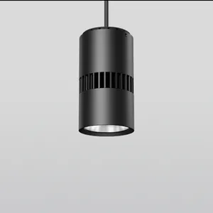 Retro Zwart Ijzeren Lampenkap Met Goud Bronzen Licht Compatibel Spoor Licht 3.2 Ft Industriële Aangepaste Hanglamp