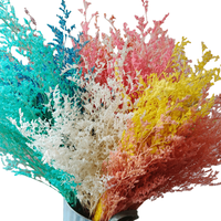 70 grammes de bouquet de fleurs séchées pour la décoration de mariages, bureaux et fêtes, pour l'arrangement floral domestique