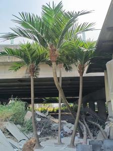 Grote kunstmatige kokospalm, op maat gemaakt, van glasvezel, 4m hoog, voor binnen, paas- en bruiloftsdecoratie - Product Image 3