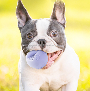 3pcs in One Bag Interactive Dog Balls New Pet Gifts Durable Dog Chew Toy for Agressive Chewers - Product Image 4