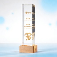 Artisanat en cristal K9 avec base en bois et lumière LED, personnalisable, cérémonie de remise de prix, souvenir, décoration lumineuse créative, cadeau