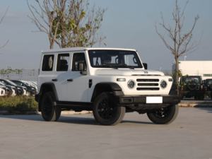 2025 coche nuevo <span class=keywords><strong>212</strong></span> T01 2024 modelo 2,0 T mecánico gasolina compacto 5 puertas vehículo SUV de 5 plazas - Product Image 3