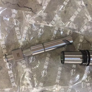 Émbolo X170S Usado para Bomba de Inyección de Motor HOWO 371 P8500 - Product Image 4