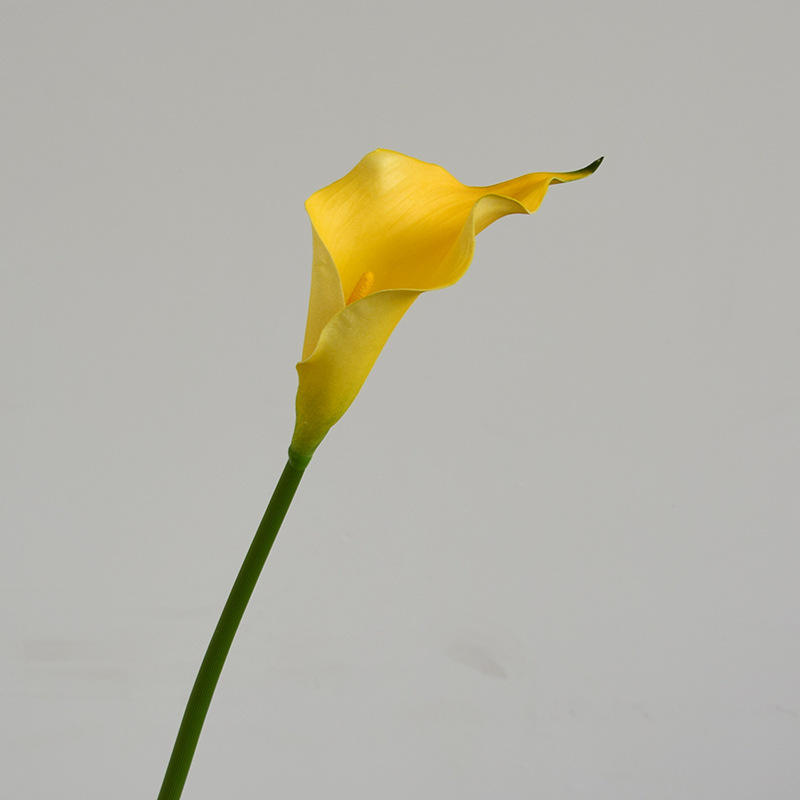 สีเหลือง