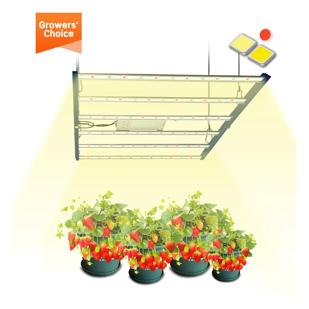 Custom Oem Odm Hydroponics Garden Growing System Indoor Plant Full Spectrum Led Grow Light