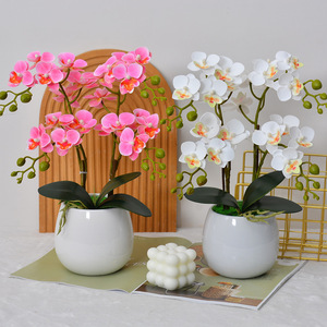 Orchidée Phalaenopsis artificielle Laixing, fleur en soie en pot, 36 cm, décoration réaliste pour salon, table basse - Product Image 3