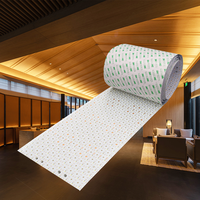 Feuilles LED flexibles ultra-minces de 10 m, panneau LED flexible pour 24 V, rouleau de papier silicone, feuille LED flexible pour la maison