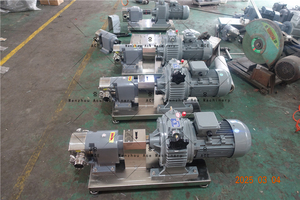 Ace Factory Displacement Gear <b>Pump</b> for Viscous <b>Fluids</b> for Honey Syrup Rotor Lobe <b>Pump</b> for Efficient Transfer - Product Image 2