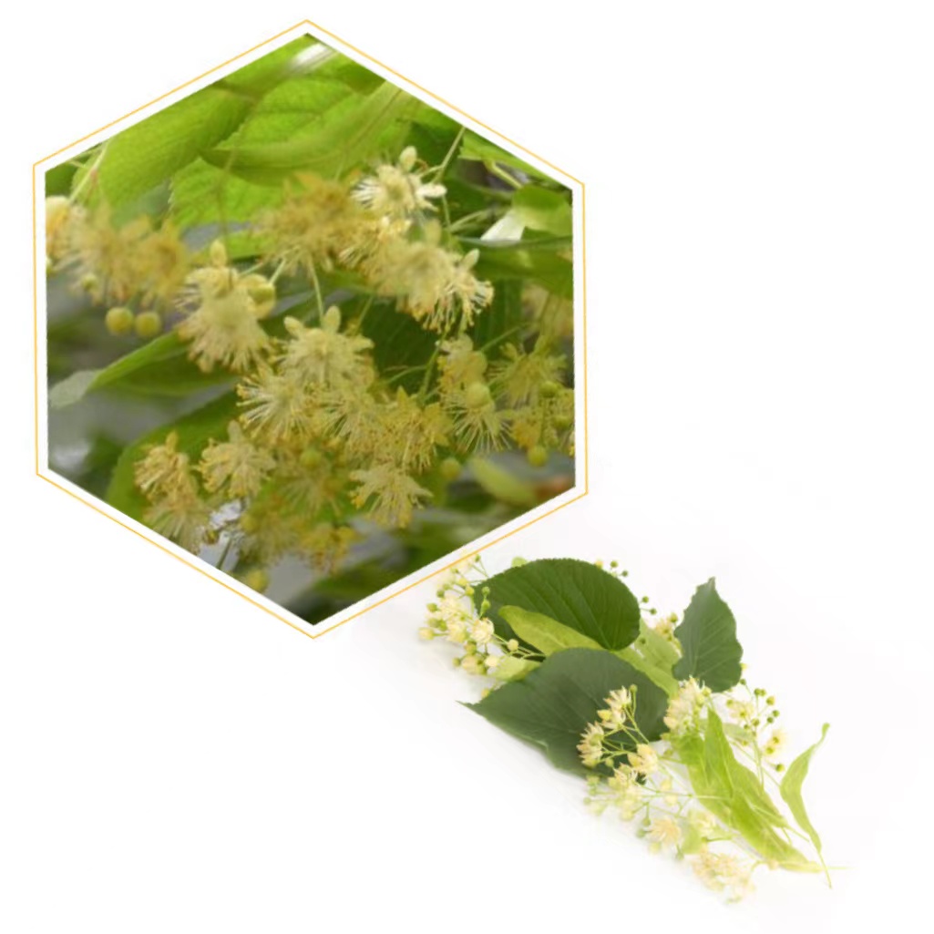 100% Pure Natural Bee Honey Organic Raw Linden Honey None Addictives