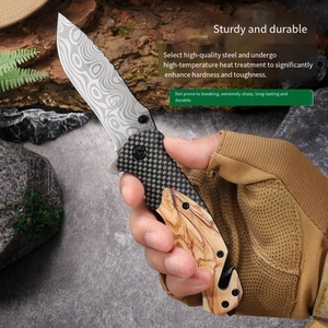 Mini couteau de poche à lame pliante en acier inoxydable 3CR13 ultra-affûtée, manche en ABS couleur bois, longueur totale 20,5 cm, idéal pour le camping - Product Image 4