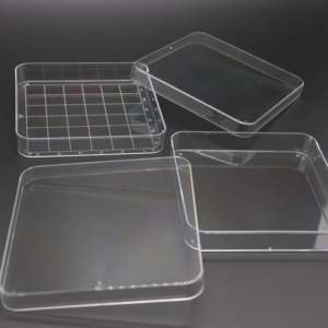 Plastik sekali pakai kualitas tinggi, 60mm & 90mm 100mm bulat/persegi budaya piring untuk perlengkapan Lab budaya sel - Product Image 1