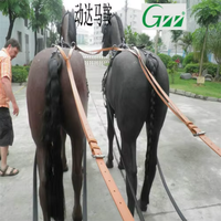 Chariot de course de chevaux de sport extérieur à 2 chevaux avec harnais d'arbre en plastique à selle occidentale