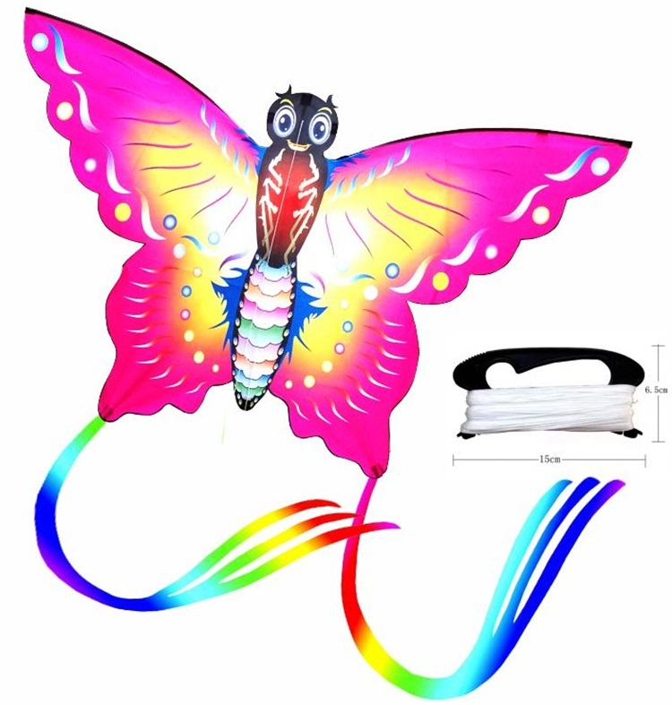 Papillon de 1,4 m de large