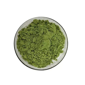 Pharmaceutical Grade Mulberry Leaf Extract Powder with Liquid-Solid Extractio - Product Image 1