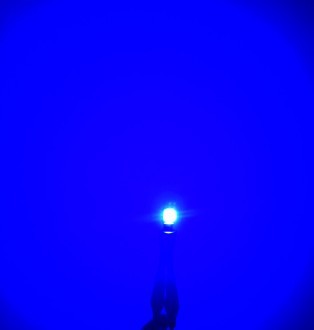 Bleu