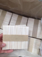 50 Pcs Bundle Emballé Bord Rond 114*10*2mm Bâtons De Crème Glacée En Bois Bâtons De Popsicle En Stock