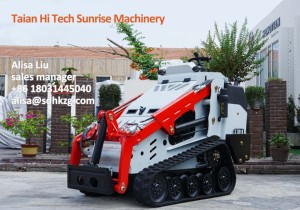 الأحدث في الصين من نوع Pro 25hp ، أدوات التزلج الصغيرة المجنزرة أو الحديقة 4WD - Product Image 2