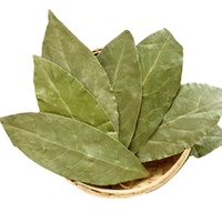 Feuilles de Laurier Séchées Naturelles de Qualité Supérieure, Épices Culinaires en Tranches, Emballage Sous Vide en Vrac pour Assaisonnement Alimentaire, Vente en Gros, Meilleure Qualité
