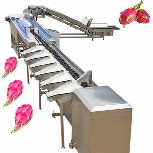 Clasificación de Frutas y Verduras en Planta de Procesamiento: Manzana, Melón, Almejas, Piña, Nueces, Nuez, Tomate, Fruta de Color, Fruta de Color Masacre, Fruta de Color Cashew, Kiwi - Product Image 1