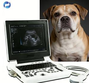 Perangkat Pemantauan Hewan Portabel Berkinerja Tinggi Mesin Pemindai <span class=keywords><strong>Ultrasound</strong></span> <span class=keywords><strong>Laptop</strong></span> Medis - Product Image 4
