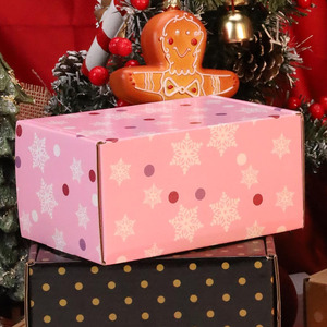 B566 Số Lượng Lớn Vận Chuyển Dễ Thương Màu Hồng Bông Tuyết Tông Có Nắp Đậy Số Lượng Lớn Doanh Nghiệp Nhỏ Quà Tặng Bưu Phẩm Hộp Tùy Chỉnh Gửi Thư Hộp Cho Sản Phẩm Làm Đẹp - Product Image 6