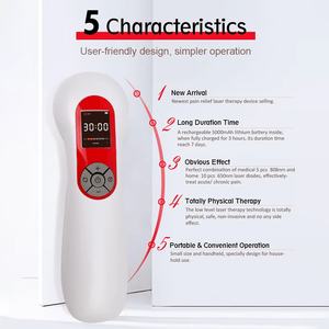 Tragbares Handgerät für den Heimgebrauch mit 1300mW Niedrigenergie-Kaltlaser-<span class=keywords><strong>Massage</strong></span> und Pulsfunktion zur Körperentspannung, 5000mAh Akku - Product Image 1