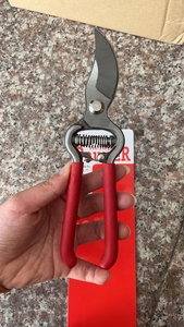 Giá rẻ Kéo cắt tỉa cây xén làm vườn Kéo cắt vườn kéo tay <span class=keywords><strong>pruner</strong></span> kéo cắt - Product Image 3