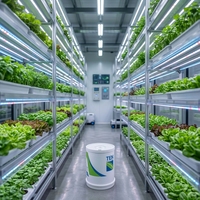 Grand conteneur vertical intelligent de culture hydroponique de fraises à spectre LED complet, usine de culture de plantes avec couvercle en acier inoxydable 304
