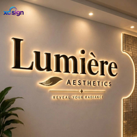Enseigne LED 3D rétroéclairée en acier inoxydable personnalisée de qualité supérieure, compatible HomeKit, transformateur CA, télécommande, pour bureau
