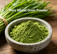 Poudre de Blé Vert de Qualité Supérieure en Gros, Pure et Naturelle, de Grade Cosmétique, Super Aliment Vert, Mélange de Jus, Bouteille de Blé Vert Brut