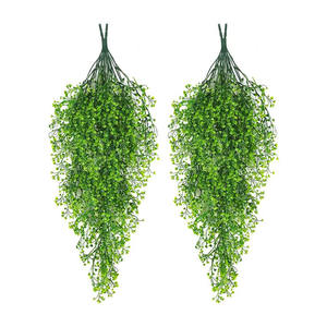 <span class=keywords><strong>Fittonia</strong></span> ห้อย5สาขาสำหรับตกแต่งสถานที่สาธารณะ - Product Image 1