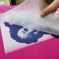 Nouveau film de transfert DTF à chaud et à froid 2022, feuilles A3 A4 13x19, film PET pour imprimante DTF Epson L1800