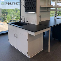 Encimeras de laboratorio de resina fenólica HPL con superficie mate Polybett