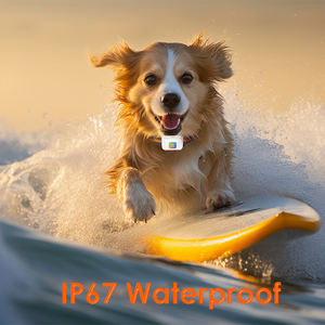 2025 도매 링벨 컬러 조명 애완 동물 스마트 글로벌 포지셔닝 장치 Rastreador 마스코타 미니 GPS 추적기 훈련 칼라 - Product Image 3