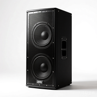 Système audio professionnel de haut-parleurs Line Array actifs et passifs pour églises, mariages, événements en direct et scènes