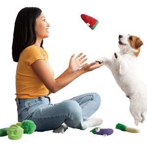 Jouets pour animaux de compagnie à vente directe d'usine OEM/ODM, ensemble multi-en-un de fruits et légumes, <span class=keywords><strong>panier</strong></span>, papier froissé, <span class=keywords><strong>jouet</strong></span> qui couine pour <span class=keywords><strong>chien</strong></span> - Product Image 5