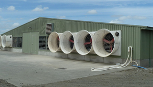 Langlebiges Hühnerstall mit Stahl konstruktion für die Geflügel zucht und das Bauernhaus für die Hühner zucht - Product Image 6