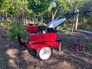 Boerderij Tuin 2 Wiel Tractor Apparatuur Hand Cultivator Roterende Helmstok