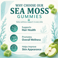 Gummies aux pommes vertes 16-en-1 de marque privée avec mousse marine, fucus et racine de bardane pour la santé capillaire et le bien-être général