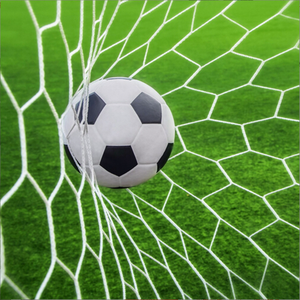 Fabrika doğrudan satış yüksek kalite düşük fiyat futbol koruma ağı - Product Image 3