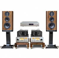 Villa 300B-845 35W Classe a Amplificateur à tubes HIFI fendu haute puissance Qualité sonore Amplificateur à tubes haut de gamme haute fidélité choquant