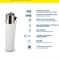 Briquet à gaz jetable personnalisé en plastique écologique avec roue à poncer, accessoires pour fumeurs, idéal pour les cadeaux promotionnels en gros